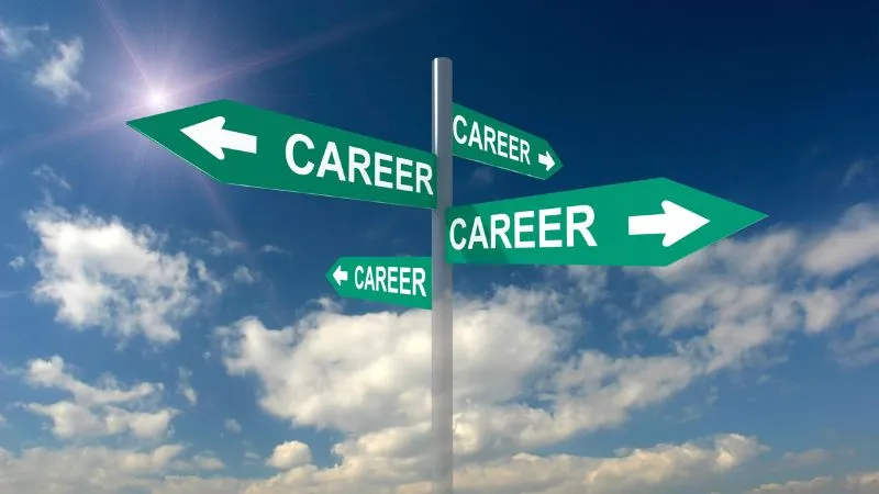 Con đường sự nghiệp của tác giả Bùi Phương Anh