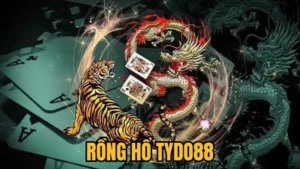 Rồng Hổ Tydo88